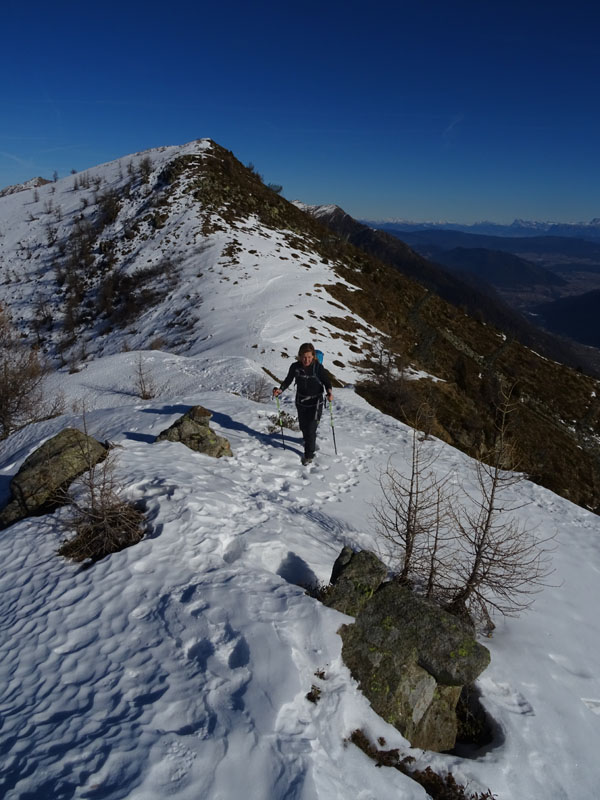 Cimon di Bolentina m. 2287 - Piz di Montes m. 2368